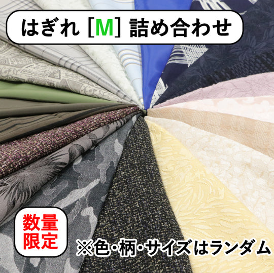 【数量限定】はぎれ詰め合わせ Mサイズ 2枚セット 色柄サイズもランダム はぎれ福袋