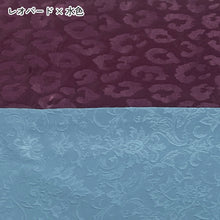 画像をギャラリービューアに読み込む, レオパード×水色